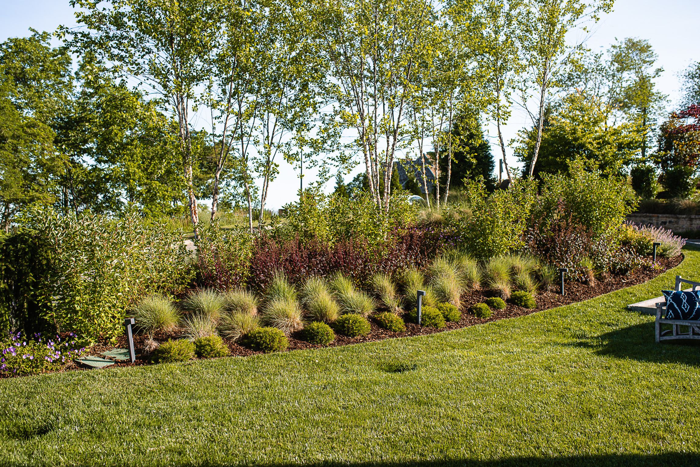 Drainage & Rain Gardens